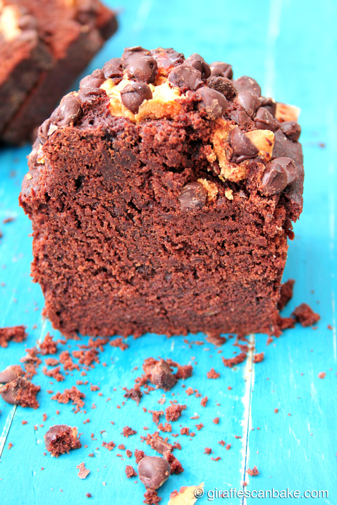 Chocolate & Peanut Butter Banana Bread