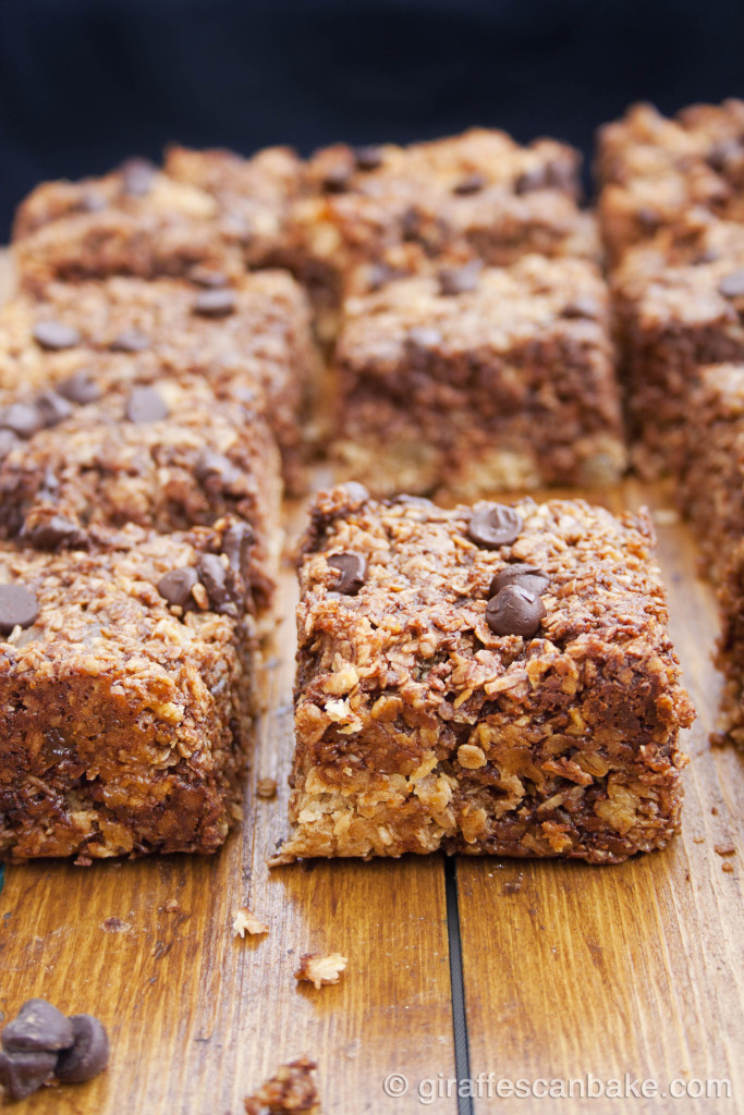 Coconut, Ginger and Chocolate Oat Bars by Giraffes Can Bake - chewy oat bars, packed full of flavour. So easy to make, they're perfect lunch box snack!