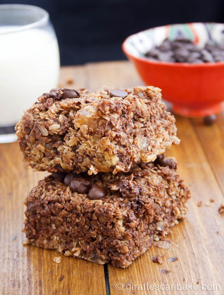 Coconut, Ginger and Chocolate Oat Bars by Giraffes Can Bake - chewy oat bars, packed full of flavour. So easy to make, they're perfect lunch box snack!