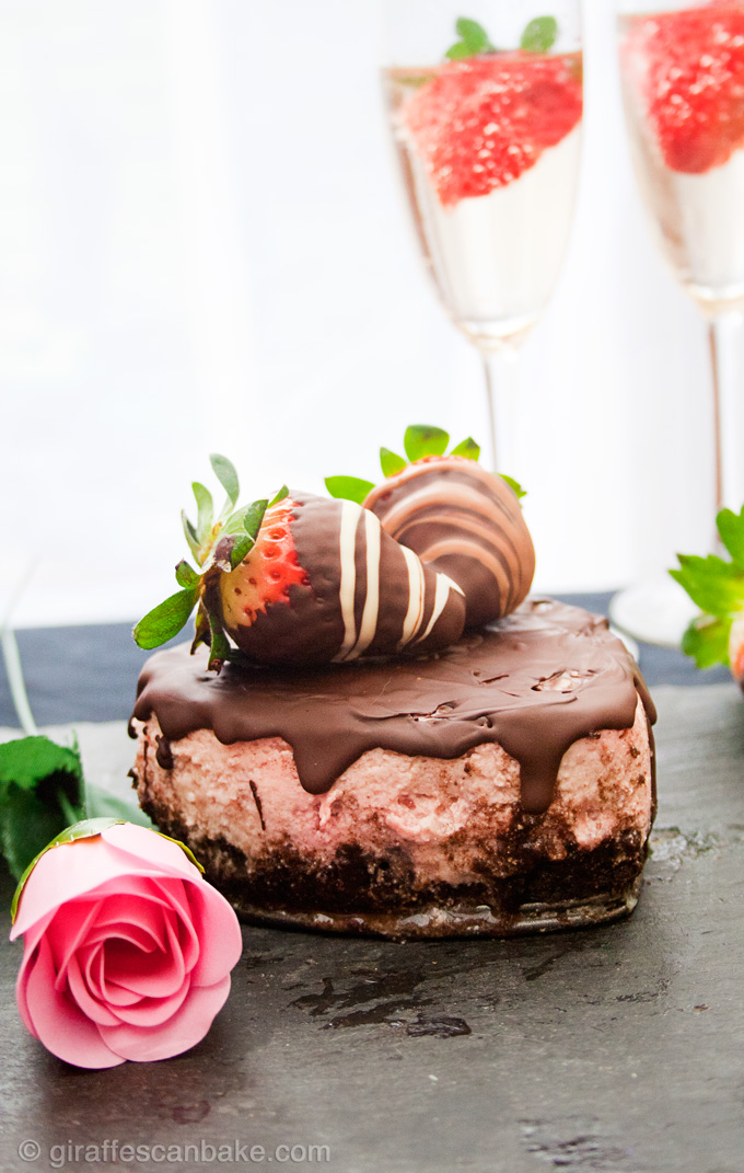 Chocolate Covered Strawberry Cheesecake for Two - Creamy strawberry cheesecaked with an oreo crust, topped with a rich chocolate ganache. Made especially for two, perfect for a Valentine's Day Dessert!