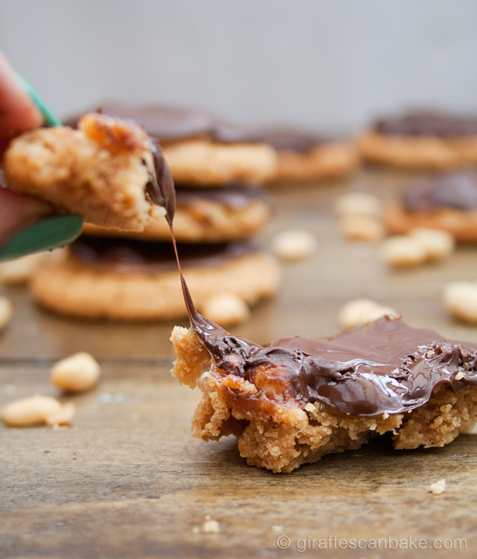 Snickers Cookies - Crumbly, flourless peanut butter cookies with gooey, chewy caramel and peanuts, topped with chocolate. They taste like a snickers bar, but better!